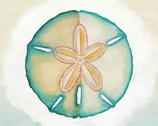 Sand dollar art paint by numbers