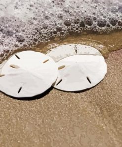 Sand dollars and wave paint by numbers