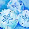 Sand dollars art paint by numbers