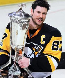 Sidney Crosby paint by numbers