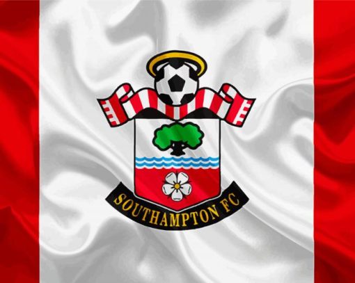 Southampton Football Club paint by numbers