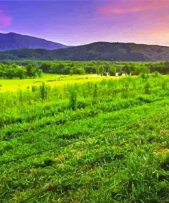 Stunning Sunset In Cades Cove paint by numbers