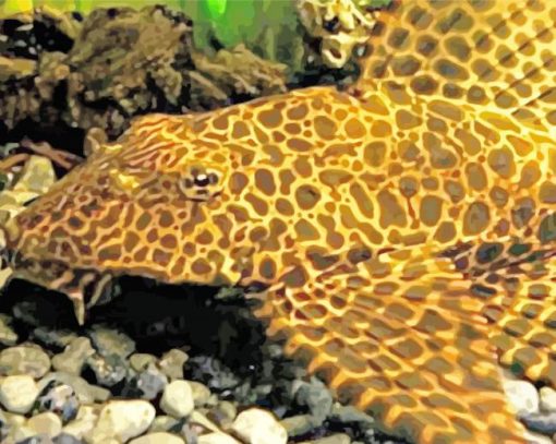 Sunshine Pleco Fish paint by numbers