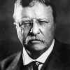 Teddy Roosevelt President paint by numbers