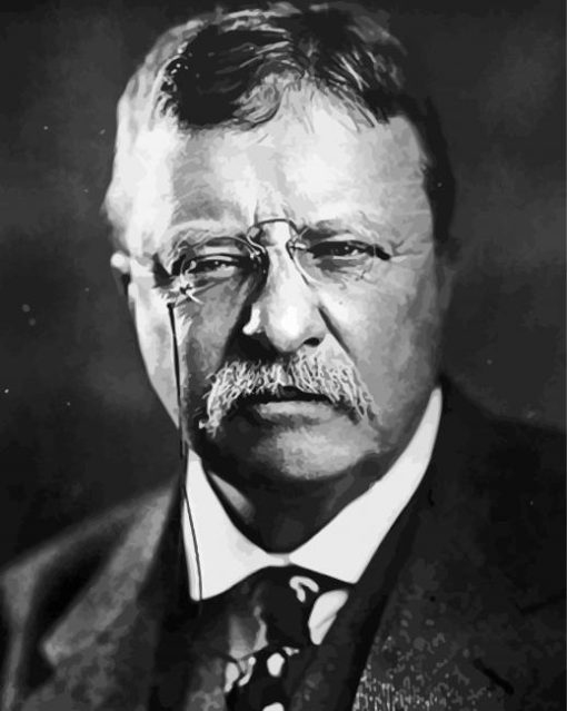 Teddy Roosevelt President paint by numbers