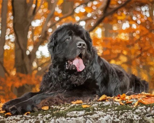 The Newfoundland Dog paint by numbers