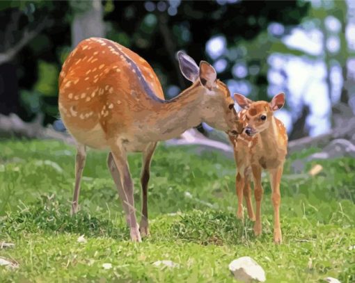 Two White Tailed Deer paint by numbers