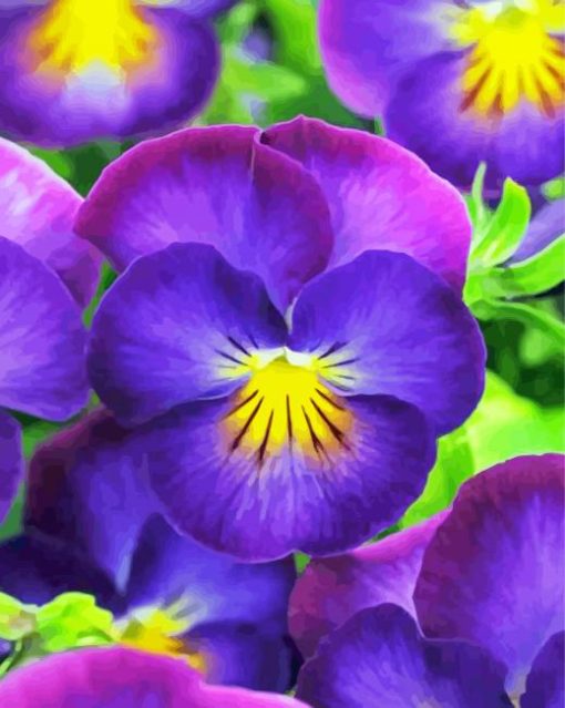 Violet flowers paint by number