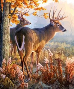 White Tailed Deer paint by numbers