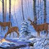 White Tailed Deer In Snow paint by numbers