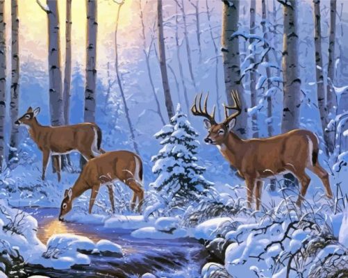 White Tailed Deer In Snow paint by numbers