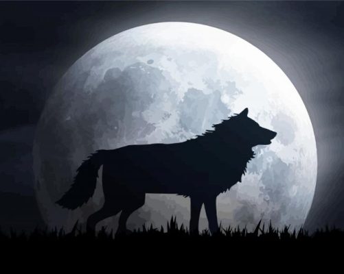 Wolf And The Moon paint by numbers