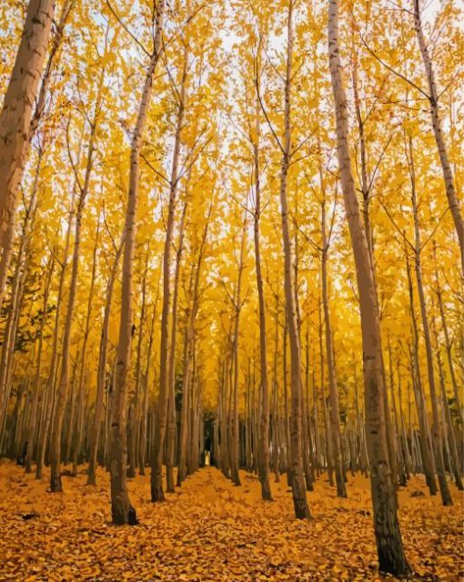 Yellow Forest Landscape paint by numbers
