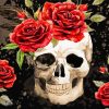 Skull And Roses paint by numbers
