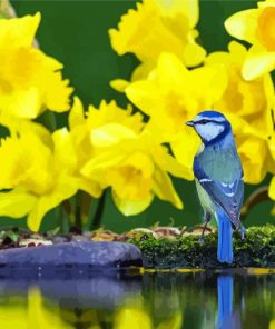 Beautiful Blue Bird Ad Daffodils paint by numbers
