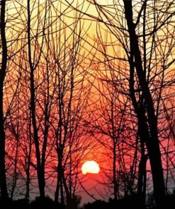 Beautiful Sunset Woods paint by numbers