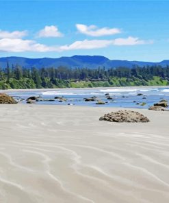 beautiful beach in Vancouver island paint by number