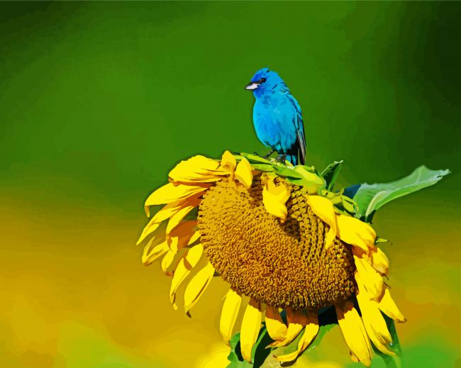 Blue Bird And Sunflower Paint by numbers