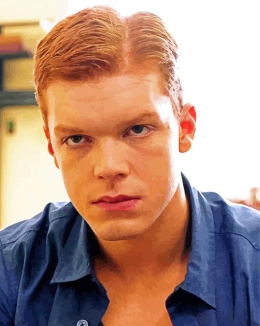 Cameron Monaghan paint by numbers