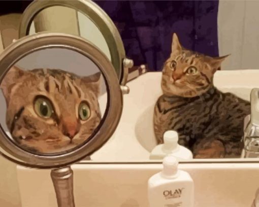 Cat And Mirror paint by numbers