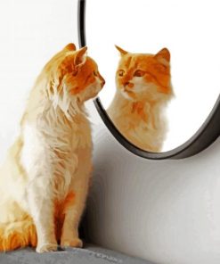 Cat Looking In A Ciricular Mirror paint by numbers