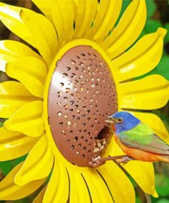 Colorful Bird On Sunflower paint by numbers