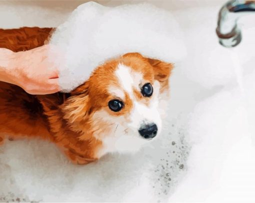 Cute Little Dog Bathing paint by numbers