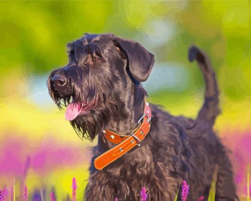 giant schnauzer dog animal paint by numbers