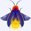 insect Firefly art paint by numbers