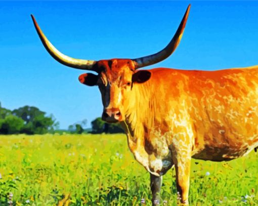 Longhorn Cow paint by numbers