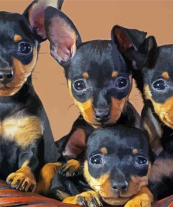 Miniature Pinscher Puppies paint by numbers