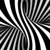 Optical Black And White Illusion paint by numbers