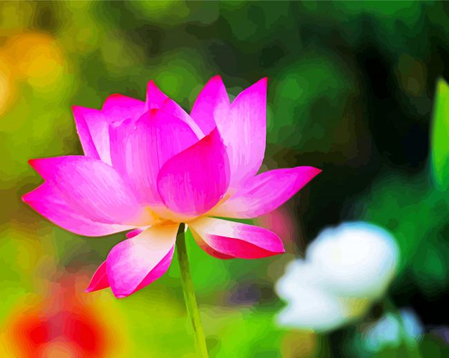 Pink Lotus Flower paint by numbers