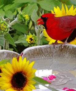 Red Bird And Sunflowers paint by numbers