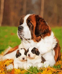 St Bernard And Puppies paint by numbers