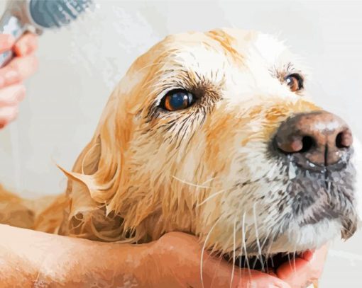 Small Dog Taking A Bath paint by numbers