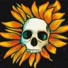 Sunflower Skull paint by numbers