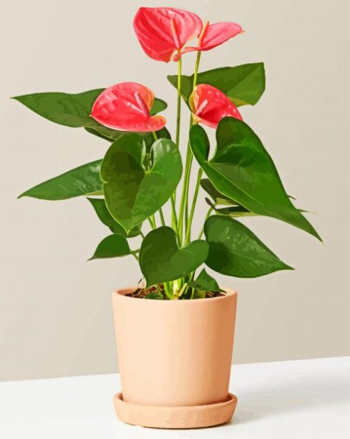 The Still Anthurium Pink Plant paint by numbers