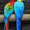 Blue Gold Macsaw Parrot Birds paint by numbers