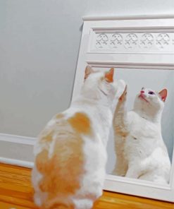 White Cat Playing With Mirror Reflection paint by numbers