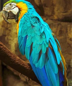 Blue Gold Macsaw Parrot Bird paint by numbers