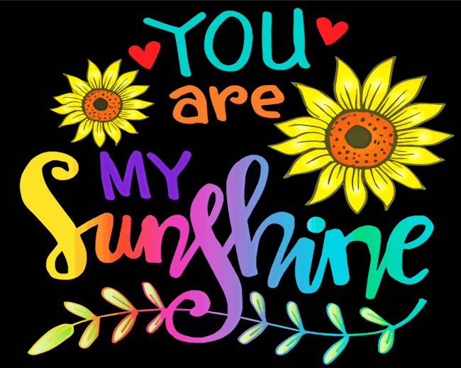 You Are My Sunshine paint by numbers