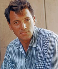 young Rock hudson paint by numbers