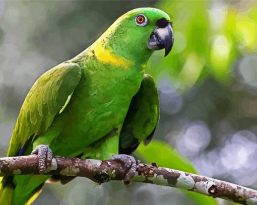 Amazon Parrot On Branch paint by numbers