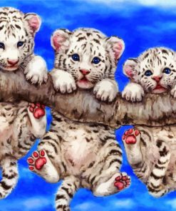 Baby White Tigers Hanging paint by numbers