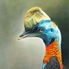 Cassowary art paint by numbers
