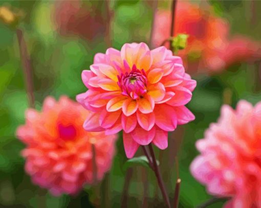 Dahlia Coral flowers paint by number