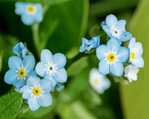Forget Me Not Flowes paint by numbers