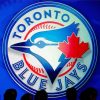 Toronto blue jays paint by numbers