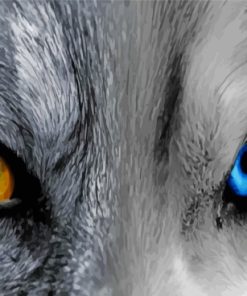 Wolf With Two Different Color Eyes paint by numbers